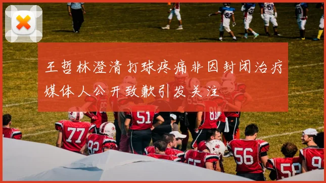 王哲林澄清打球疼痛非因封闭治疗媒体人公开致歉引发关注